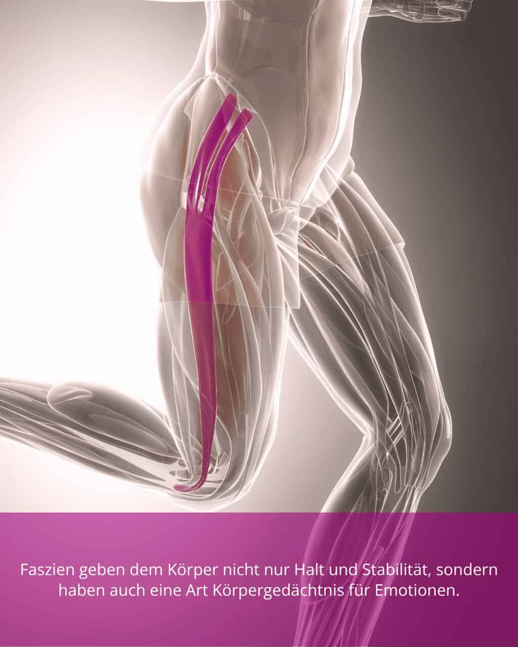 Faszientherapie
