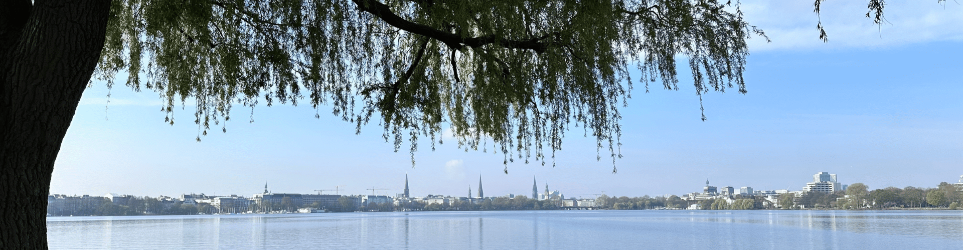 emdr-therapie-hamburg-alster-traumatherapie